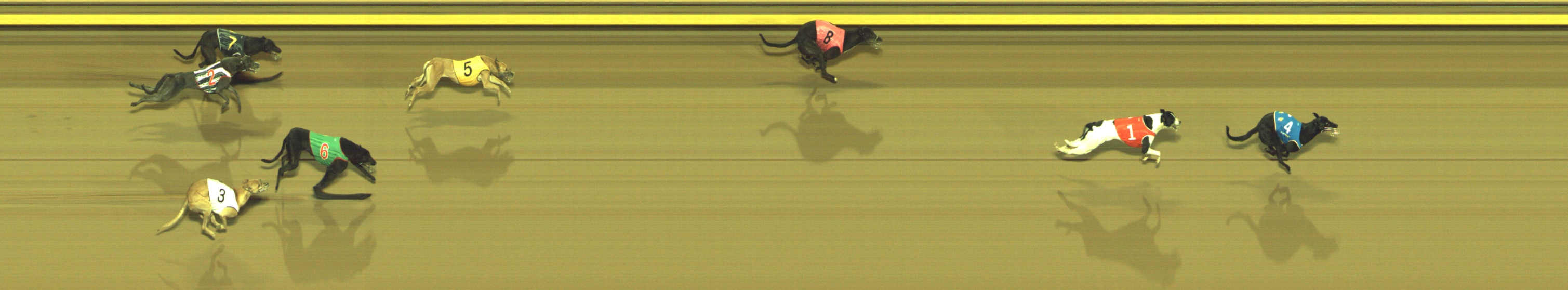 Photo finish for Geelong Race 4