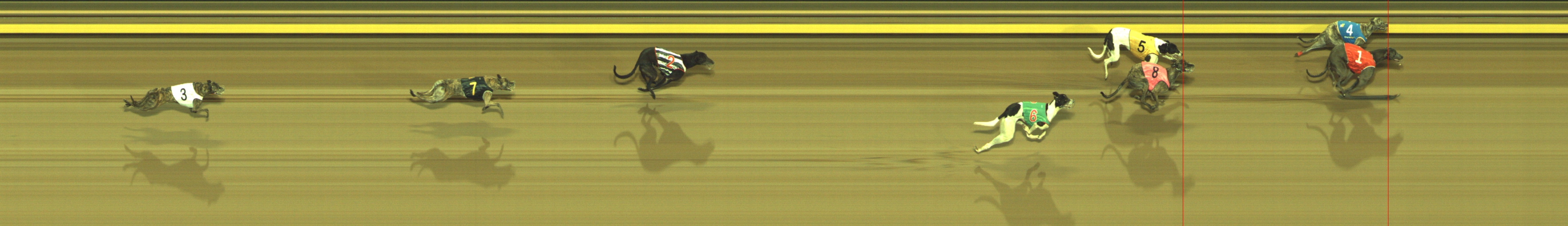 Photo finish for Geelong Race 5