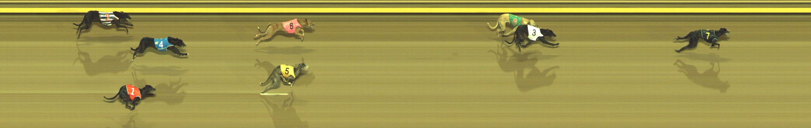 Photo finish for Geelong Race 7