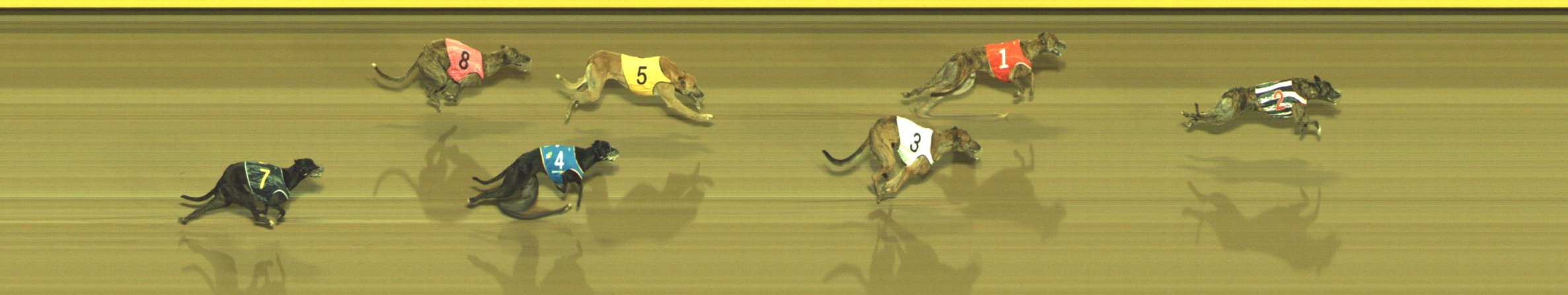 Photo finish for Geelong Race 8