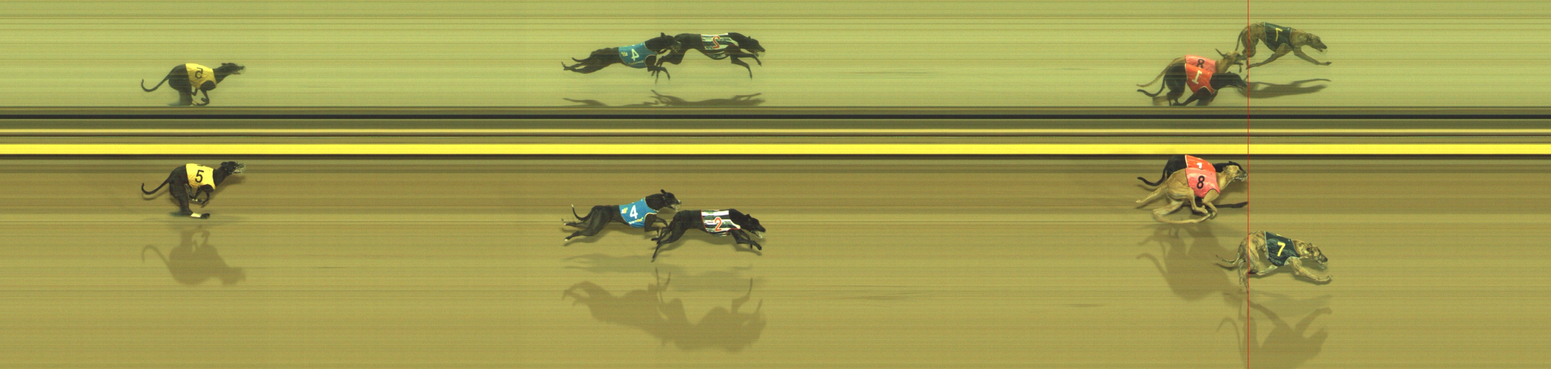 Photo finish for Geelong Race 9