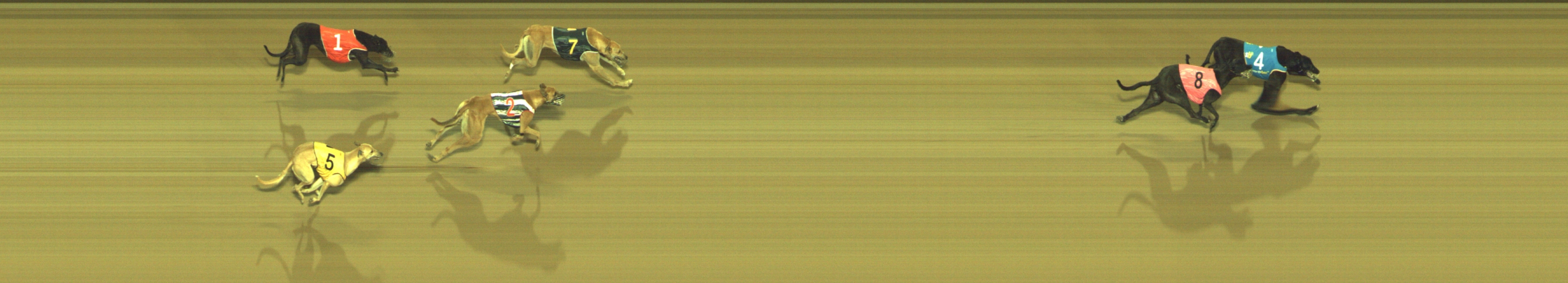 Photo finish for Geelong Race 10