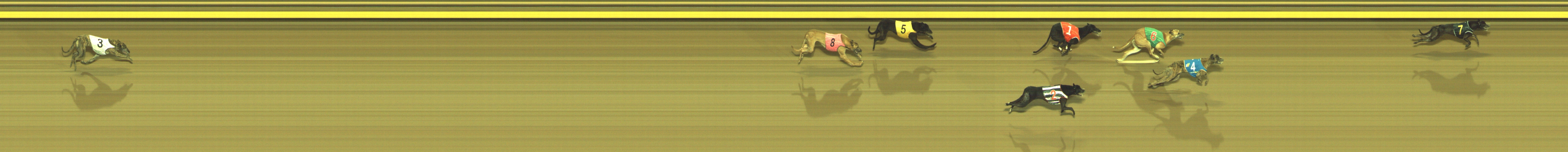 Photo finish for Geelong Race 11
