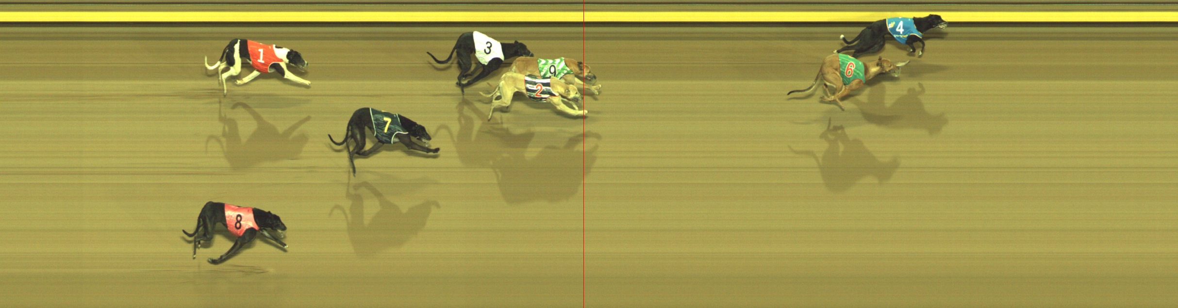 Photo finish for Geelong Race 12
