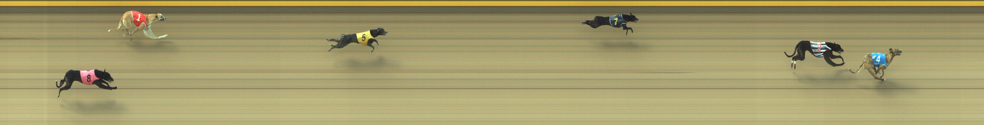 Race result finish photo