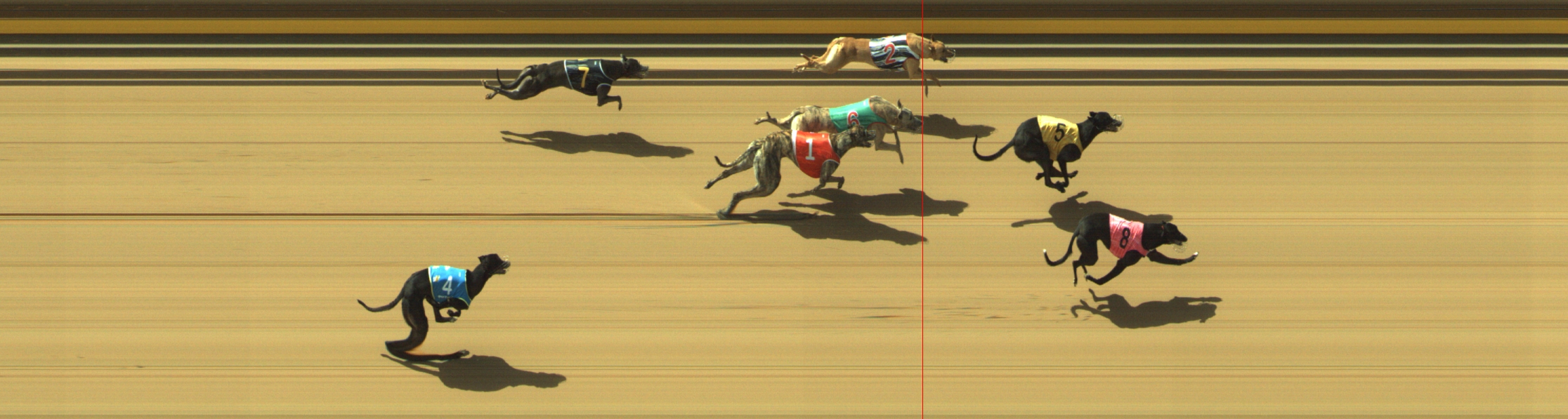 Photo finish for Geelong Race 2