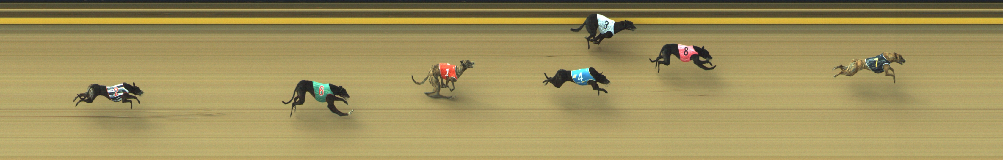 Photo finish for Geelong Race 3