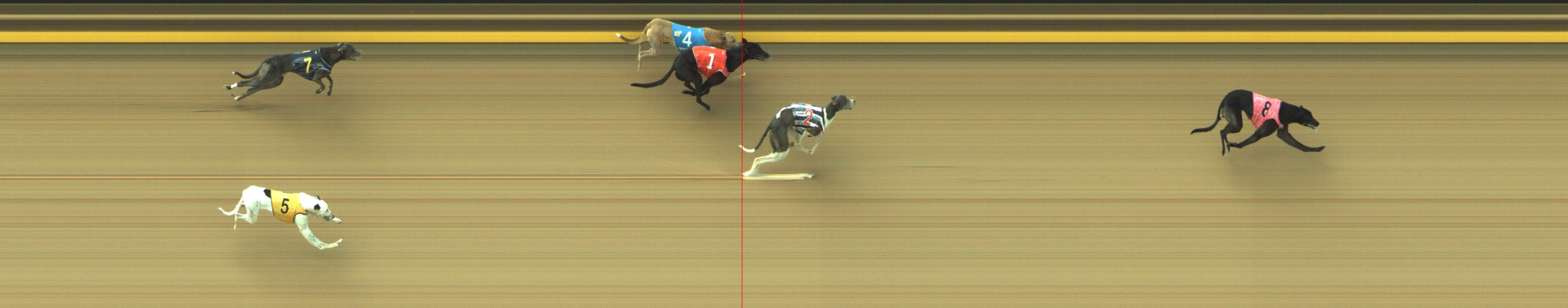Photo finish for Geelong Race 4