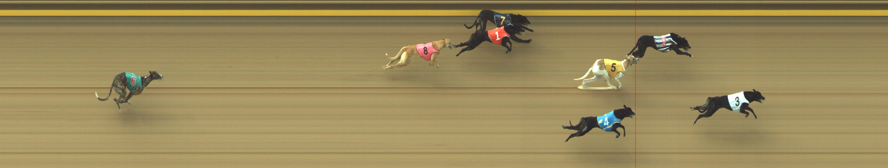 Photo finish for Geelong Race 5