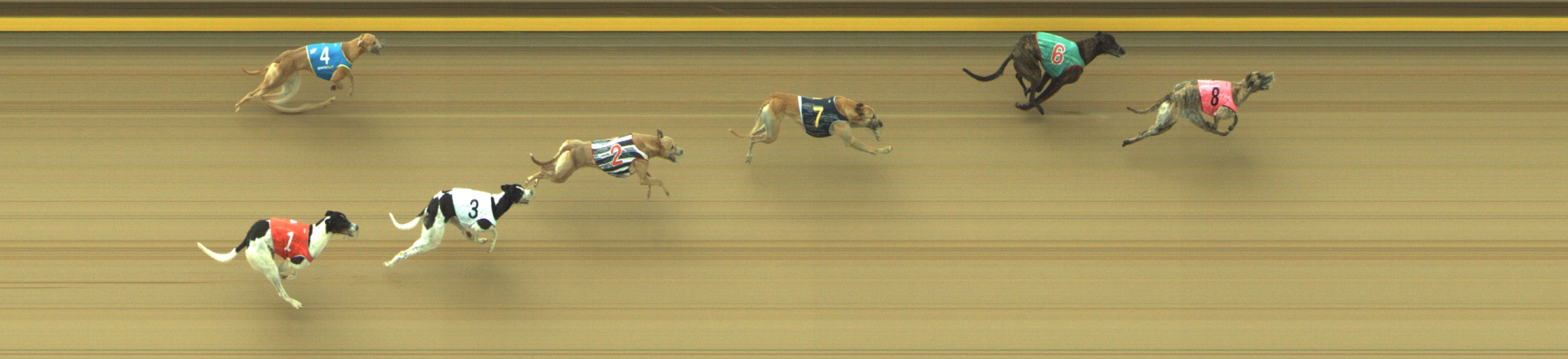 Photo finish for Geelong Race 6
