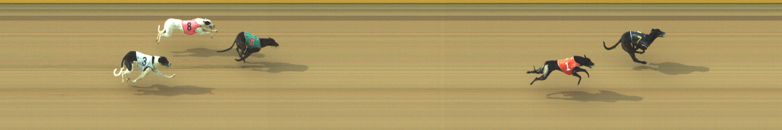 Race result finish photo