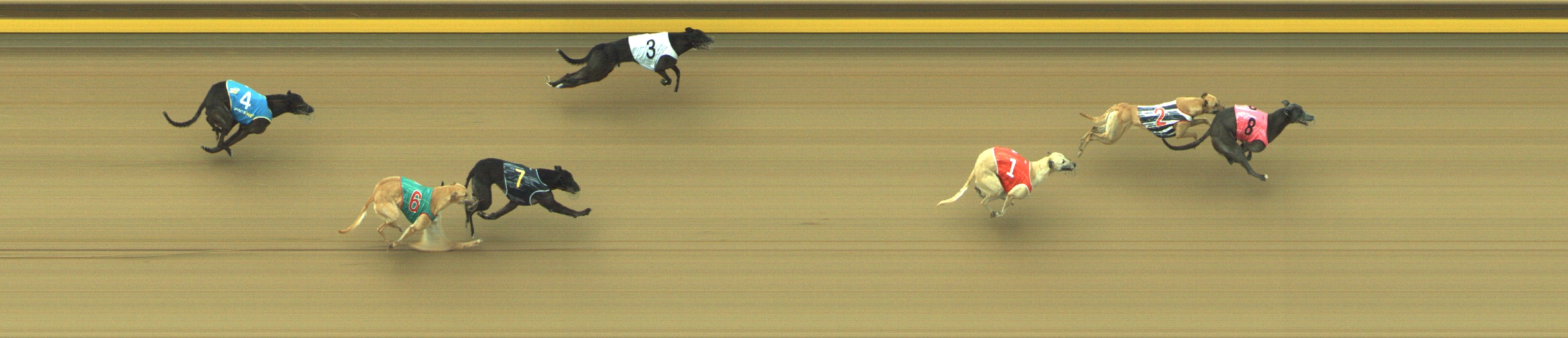 Photo finish for Geelong Race 8