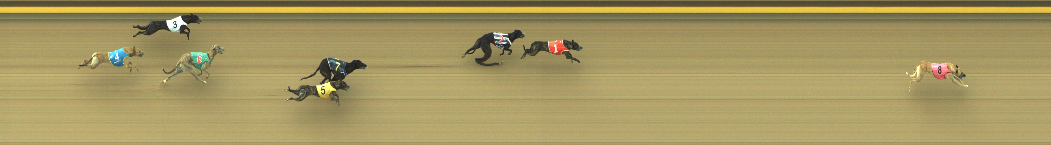 Photo finish for Geelong Race 9