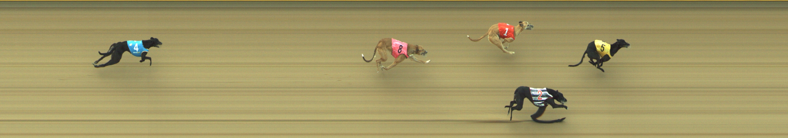 Photo finish for Geelong Race 10