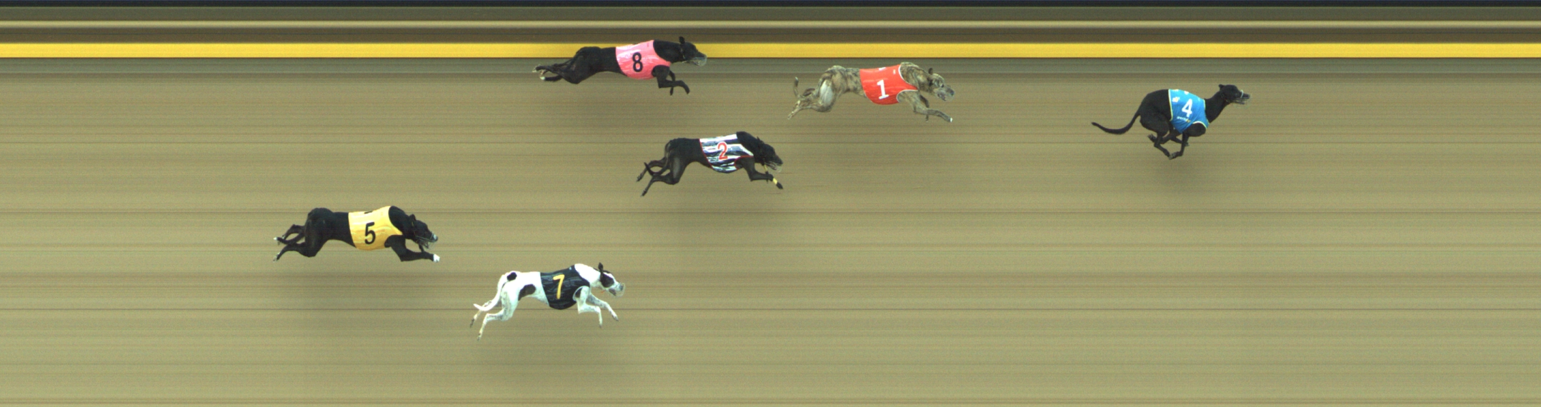 Photo finish for Geelong Race 11
