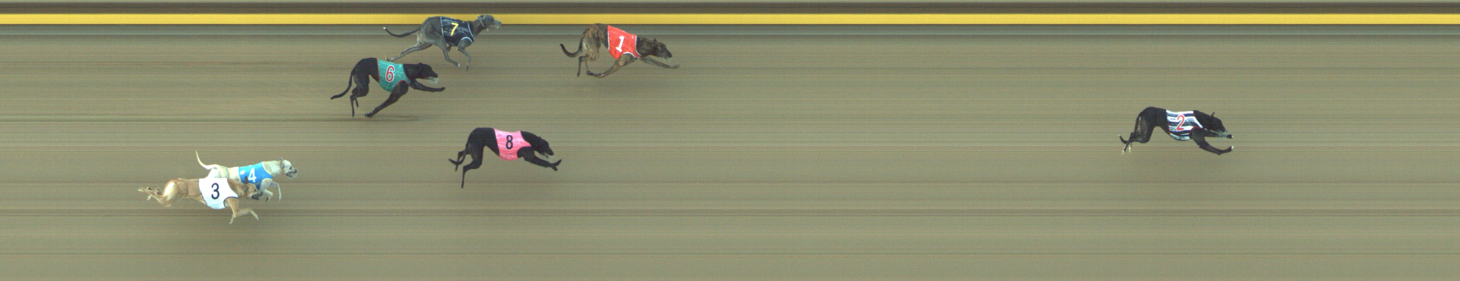Photo finish for Geelong Race 2