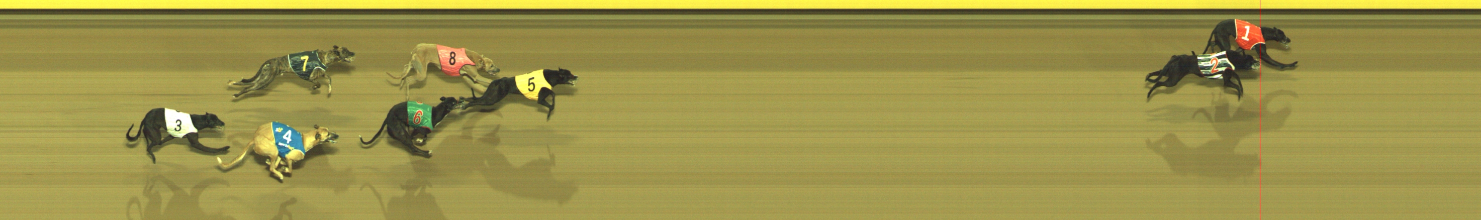 Photo finish for Geelong Race 3