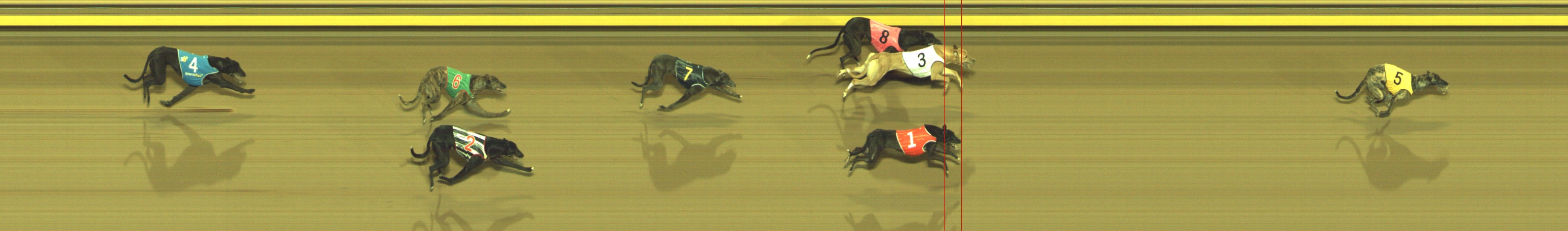Photo finish for Geelong Race 5