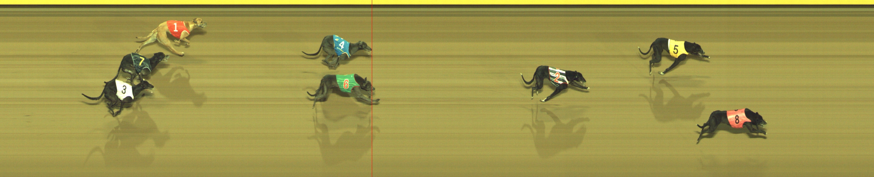 Photo finish for Geelong Race 6