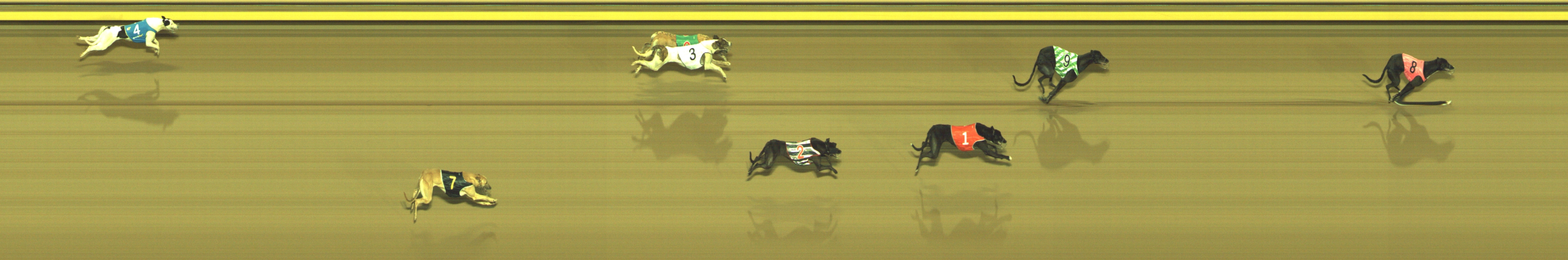 Photo finish for Geelong Race 7