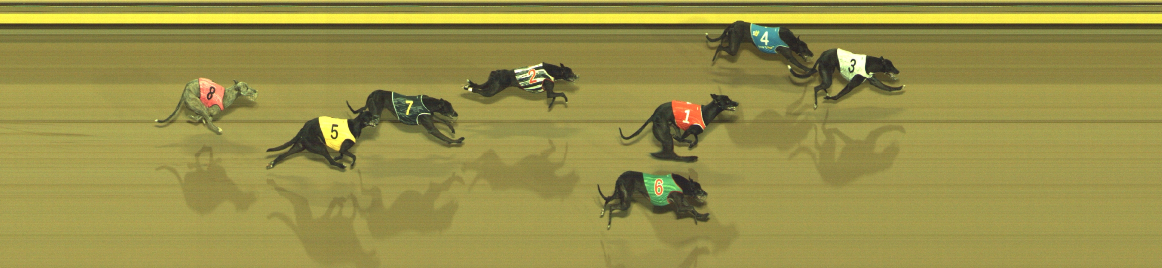 Photo finish for Geelong Race 8