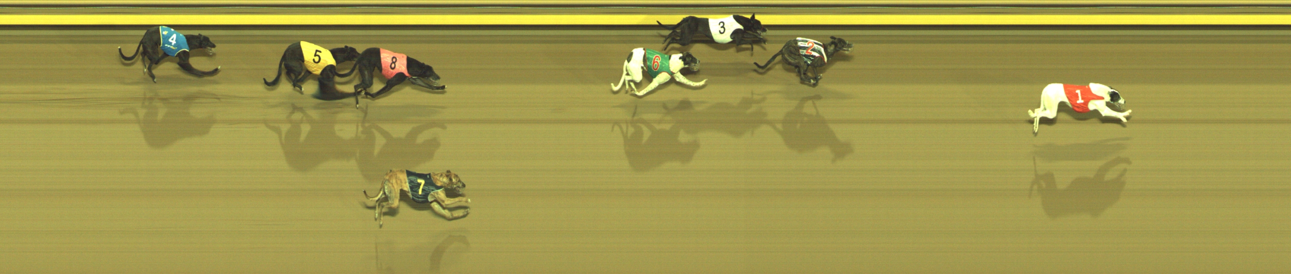 Photo finish for Geelong Race 9