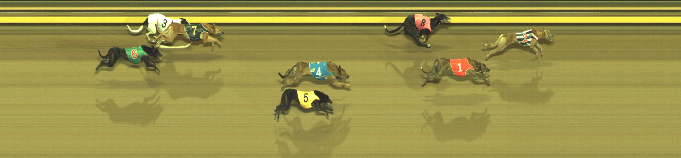 Photo finish for Geelong Race 10
