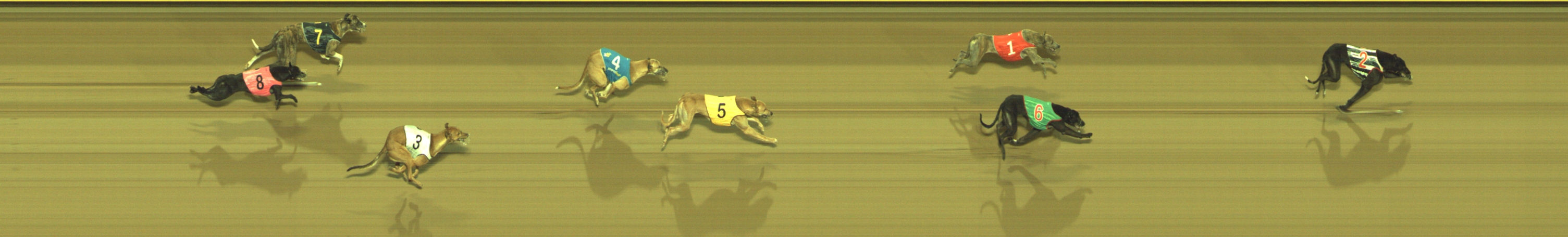 Photo finish for Geelong Race 11