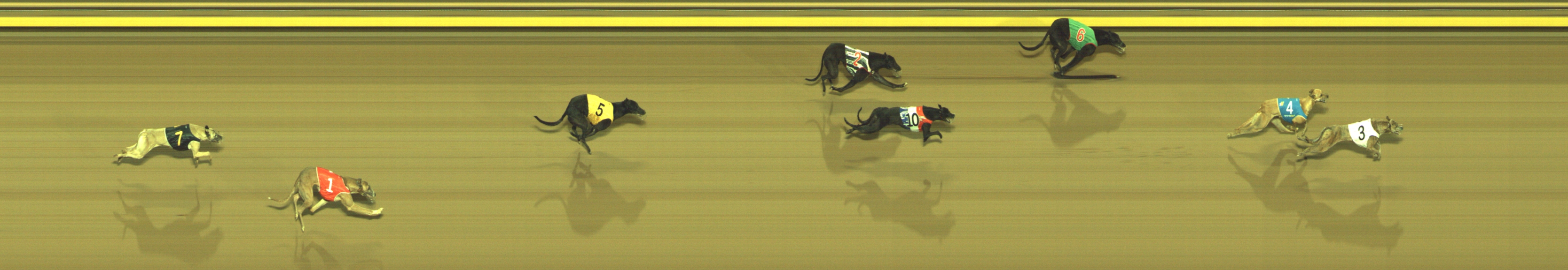 Photo finish for Geelong Race 12