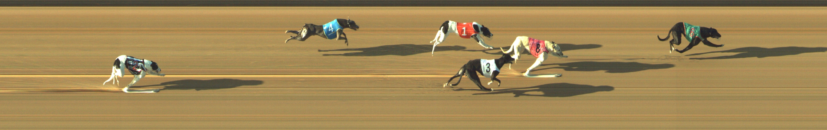 Race result finish photo