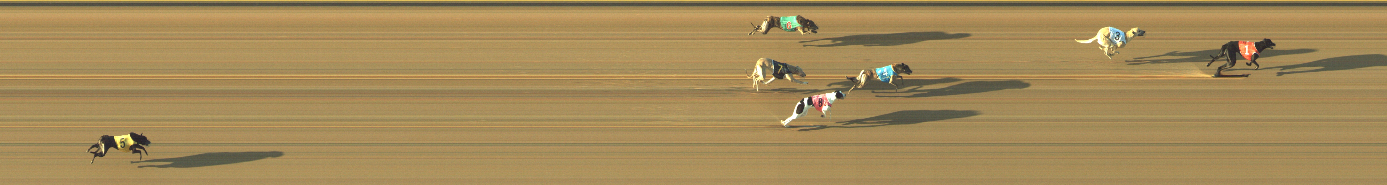 Photo finish for Geelong Race 2