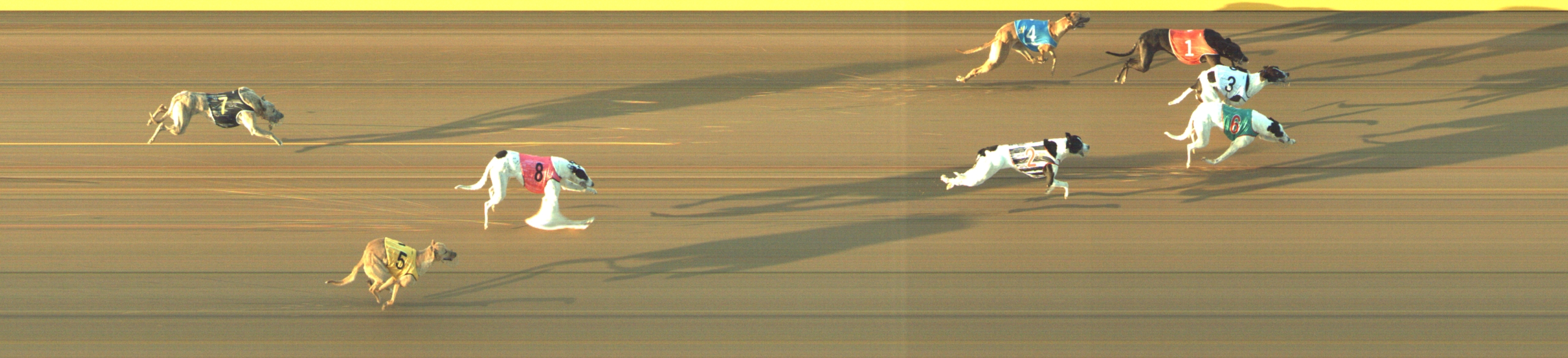 Photo finish for Geelong Race 3