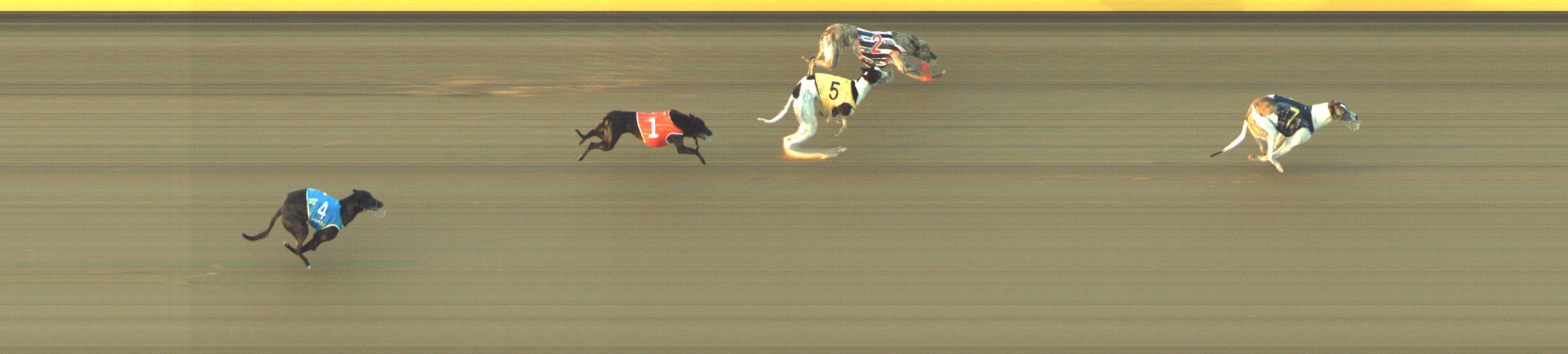 Photo finish for Geelong Race 4