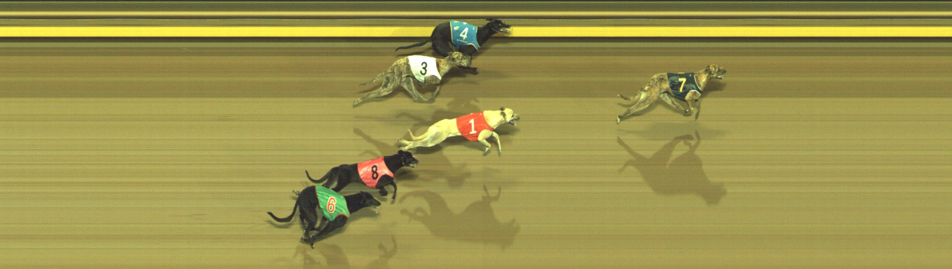 Photo finish for Geelong Race 5