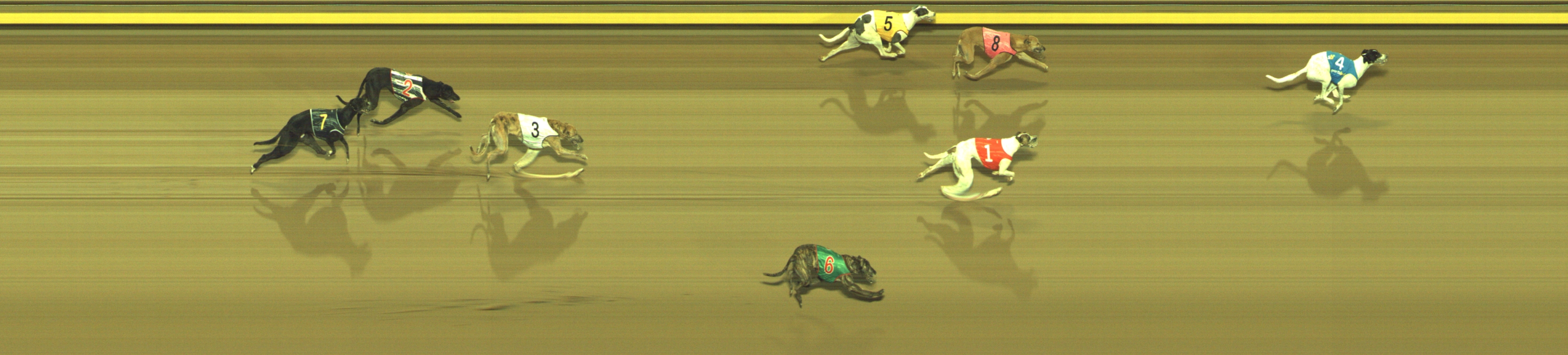 Photo finish for Geelong Race 6