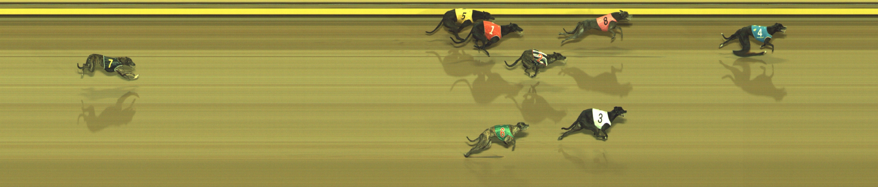 Photo finish for Geelong Race 7
