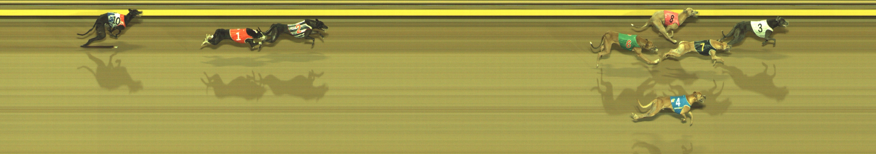 Photo finish for Geelong Race 8