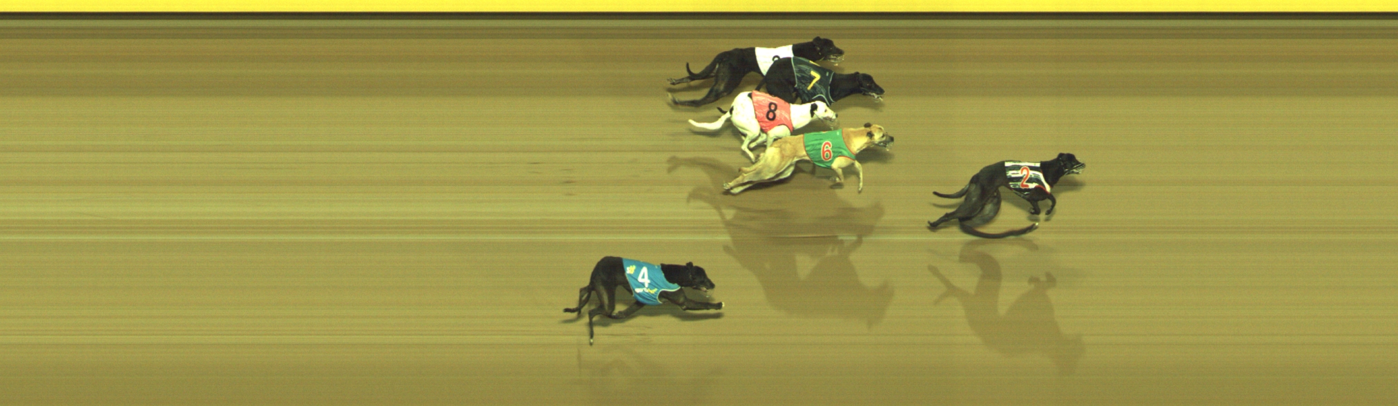 Photo finish for Geelong Race 9