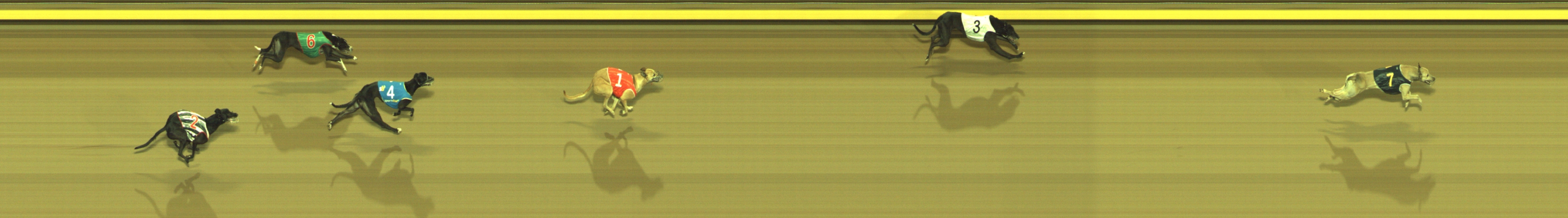 Photo finish for Geelong Race 10