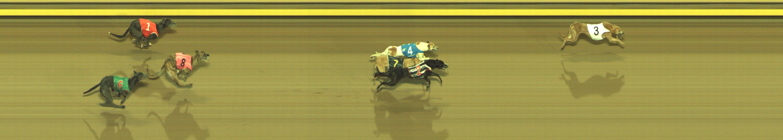 Photo finish for Geelong Race 11