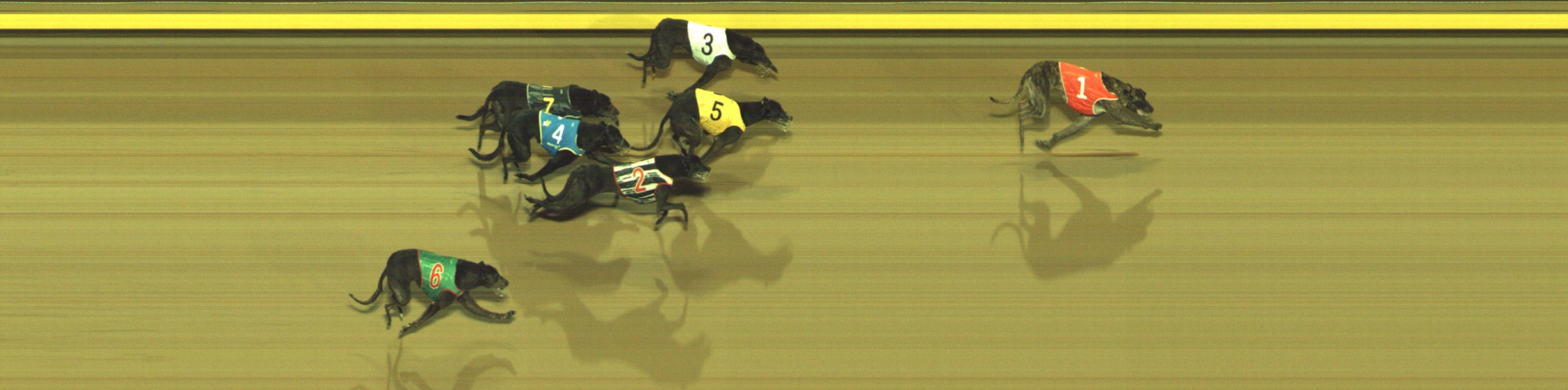 Photo finish for Geelong Race 13