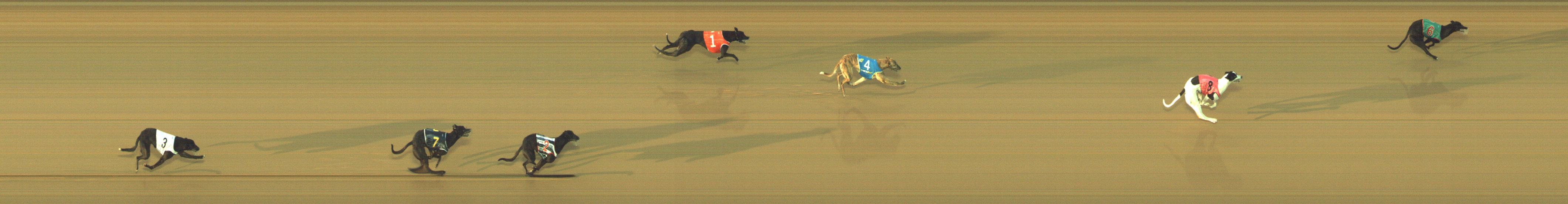 Race result finish photo