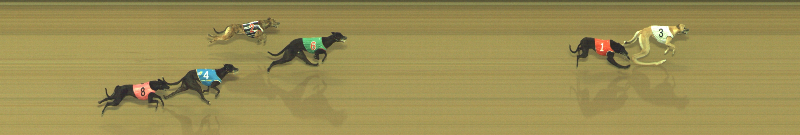 Photo finish for Geelong Race 2