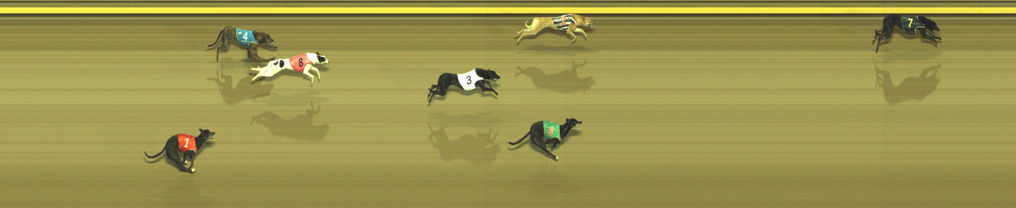 Photo finish for Geelong Race 3