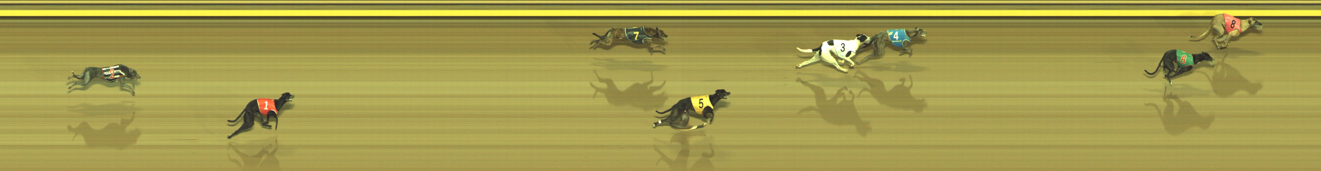 Photo finish for Geelong Race 4