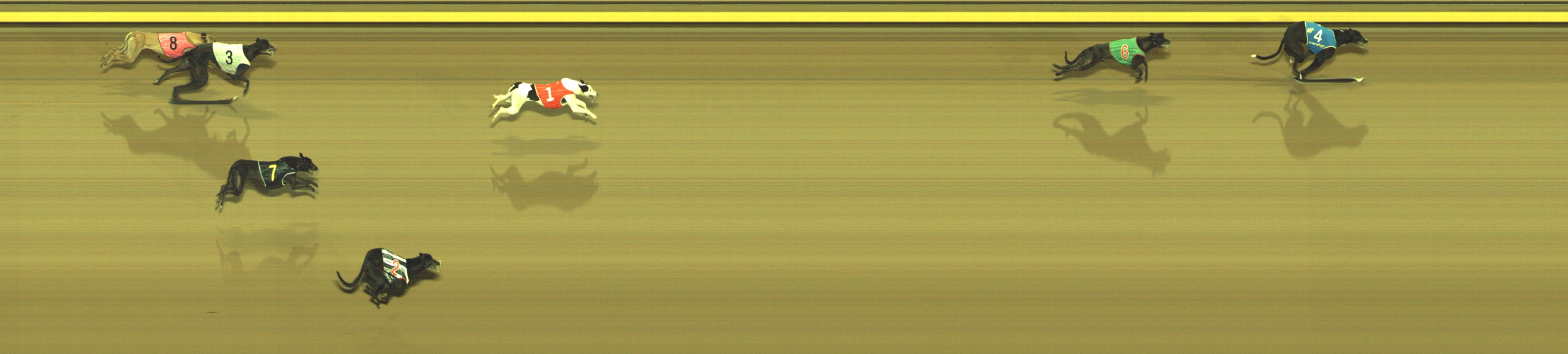 Photo finish for Geelong Race 5