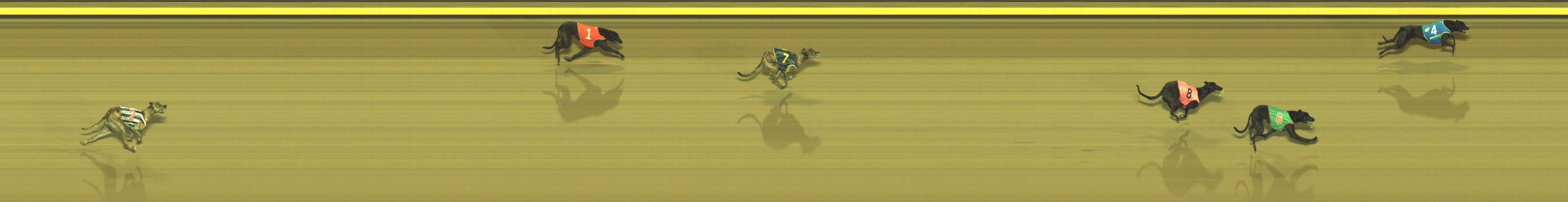 Photo finish for Geelong Race 6