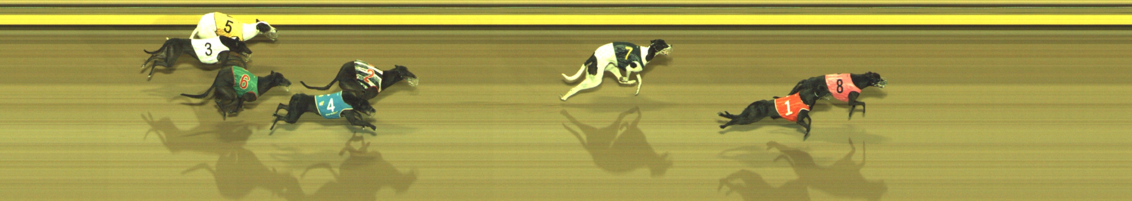 Photo finish for Geelong Race 7