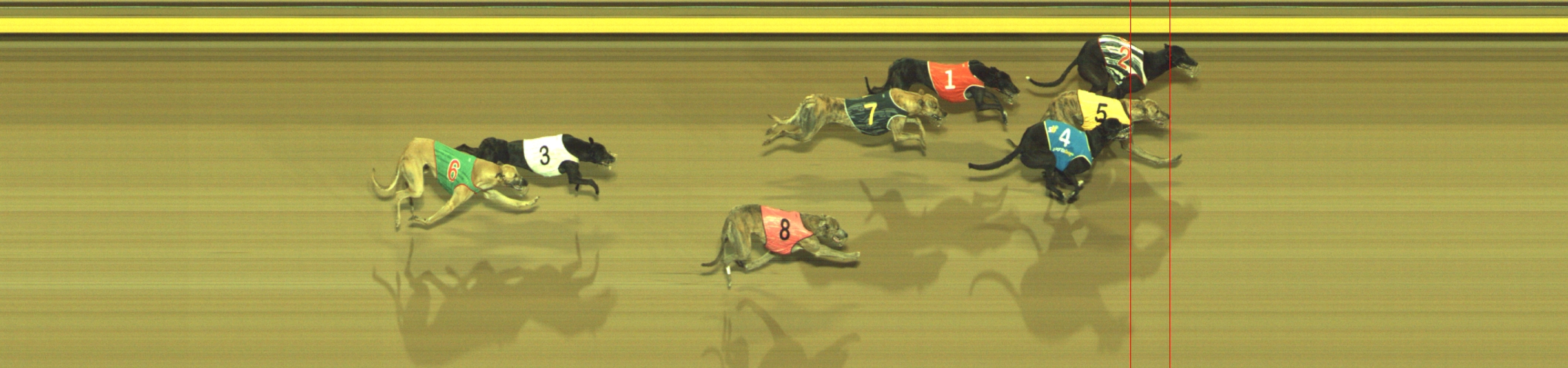 Photo finish for Geelong Race 8