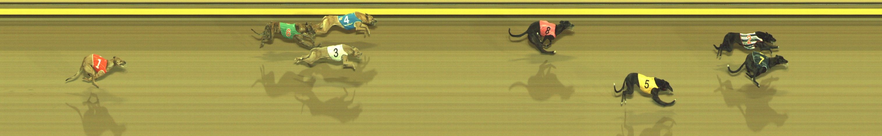 Photo finish for Geelong Race 9
